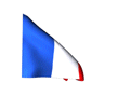 Animated French flag
